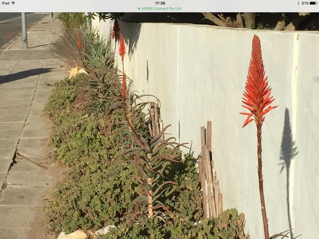 Appartamento 77 On 7Th Street Hermanus Esterno foto